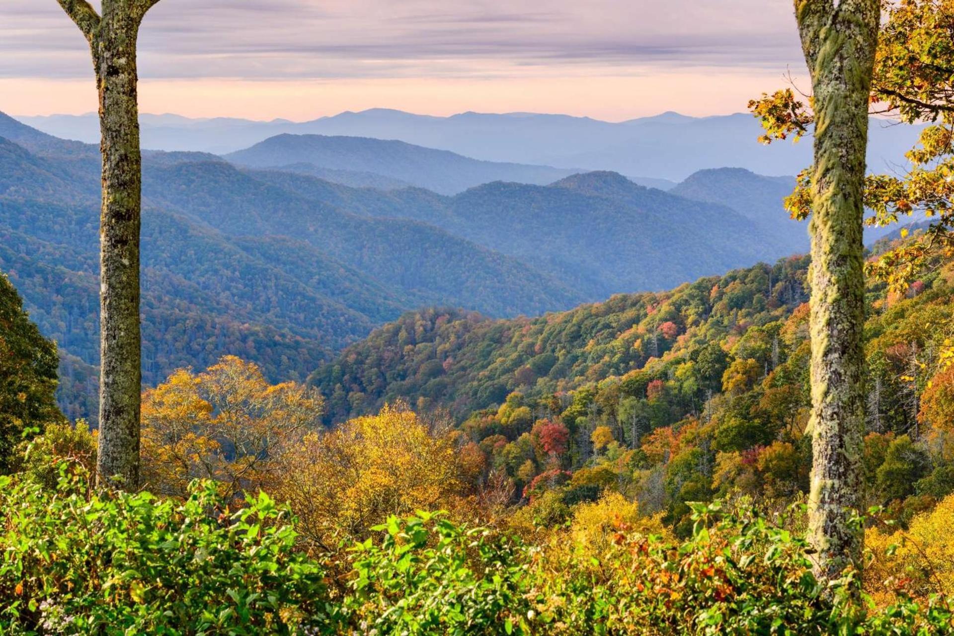 Hidden Hollow Pigeon Forge Εξωτερικό φωτογραφία
