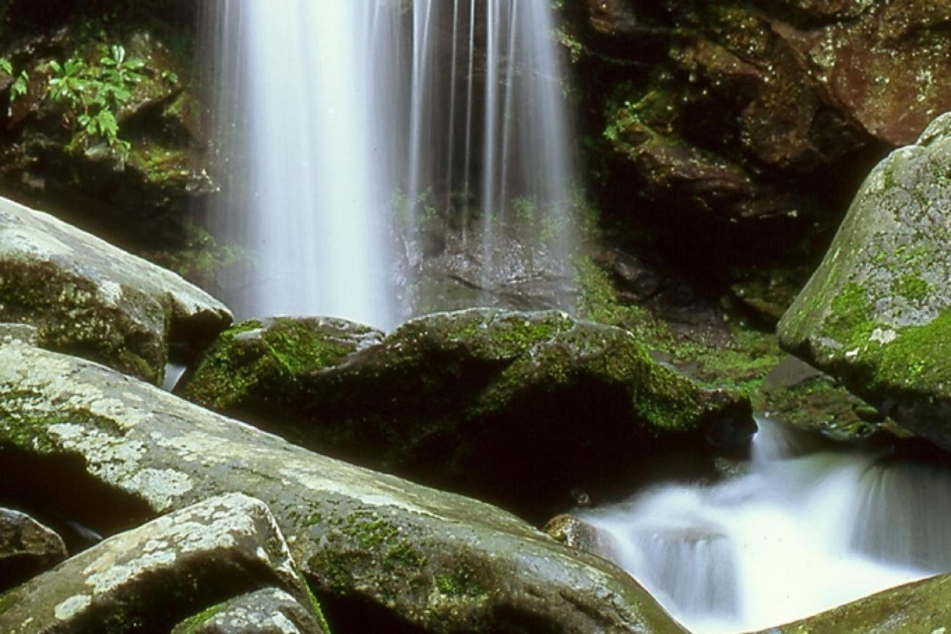 Hidden Hollow Pigeon Forge Εξωτερικό φωτογραφία