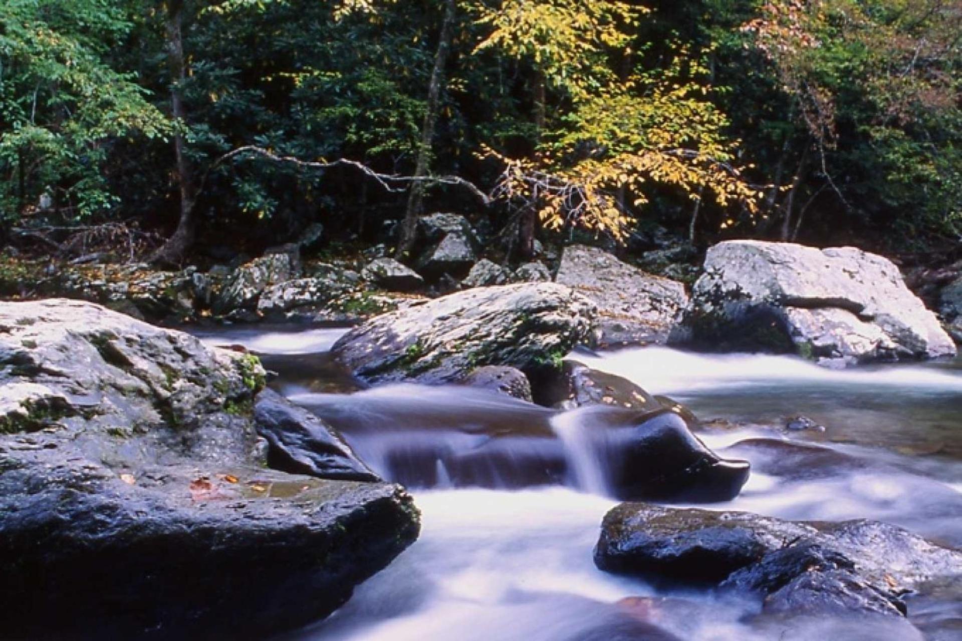 Hidden Hollow Pigeon Forge Εξωτερικό φωτογραφία