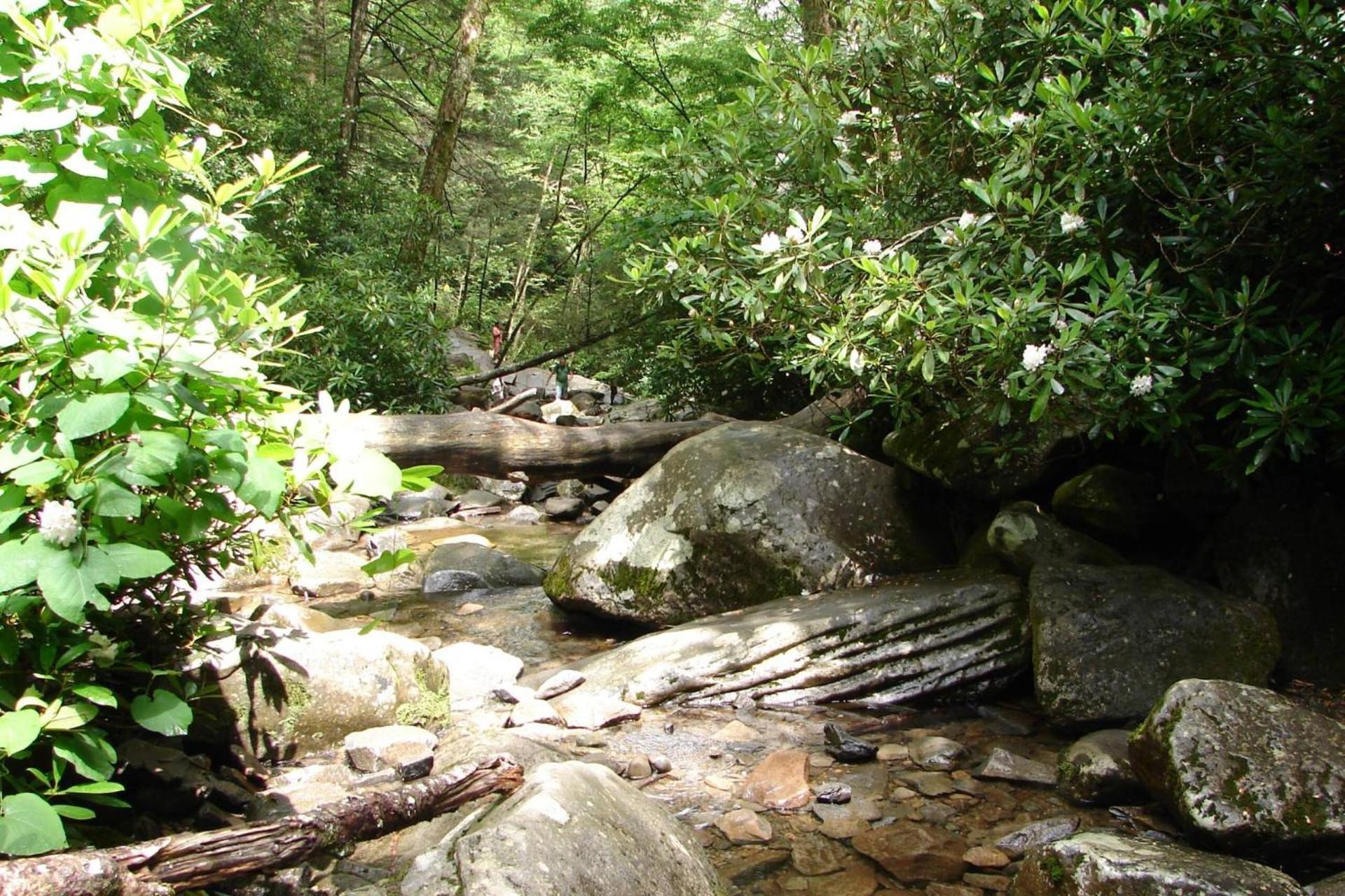 Hidden Hollow Pigeon Forge Εξωτερικό φωτογραφία